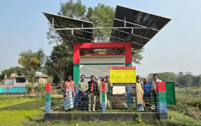 নবীনগরে সোলার সিস্টেমে অনাবাদি জমিতে আউশ আবাদে কৃষকের ভাগ্য বদল