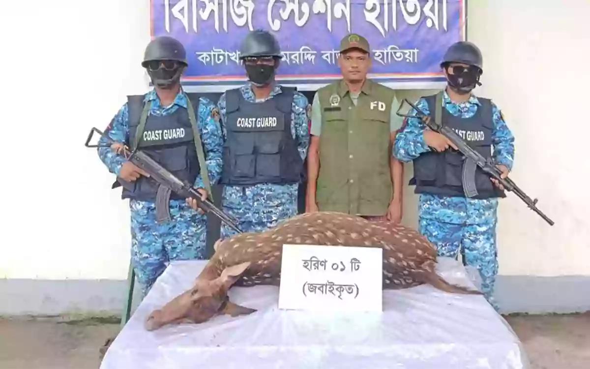 Rising Cumilla -Slaughtered deer recovered in Noakhali