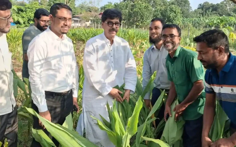 টাঙ্গাইলের মধুপুরে কৃষকের সঙ্গে সময় কাটালেন কৃষিমন্ত্রী মোহাম্মদ আমিন উর রশিদ