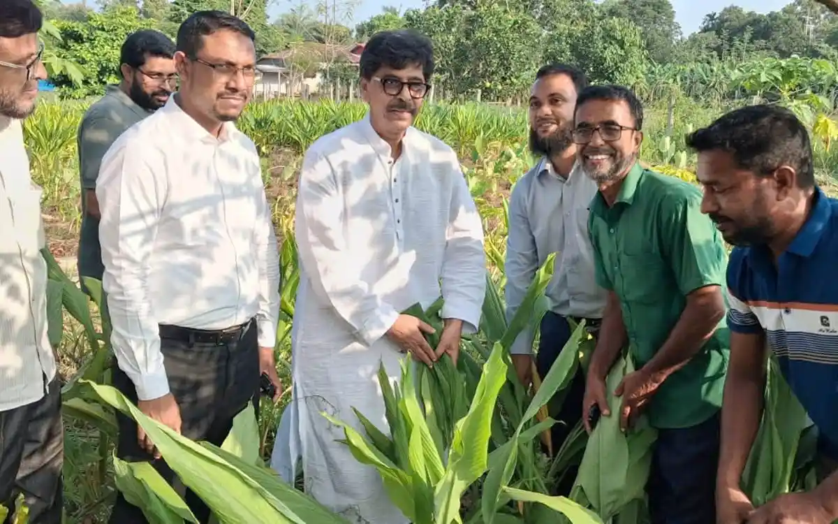 টাঙ্গাইলের মধুপুরে কৃষকের সঙ্গে সময় কাটালেন কৃষিমন্ত্রী মোহাম্মদ আমিন উর রশিদ