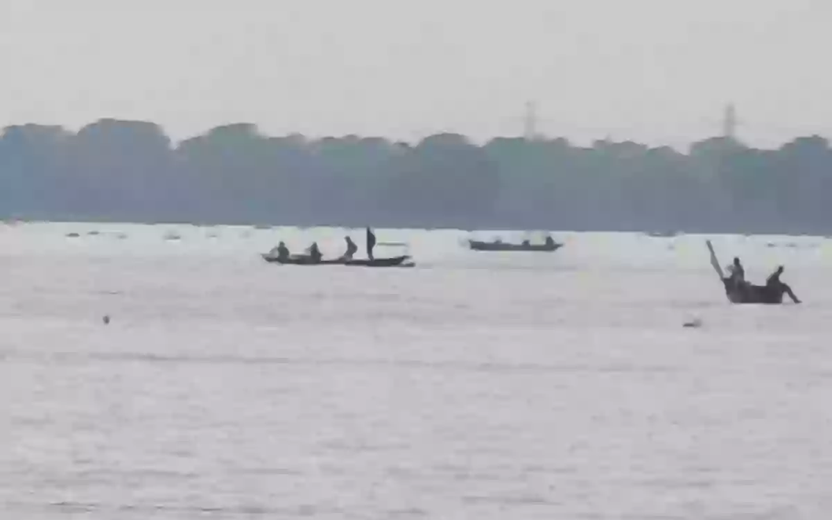Rising Cumilla - 14 fishermen jailed for catching hilsa in Lakshmipur in violation of a ban