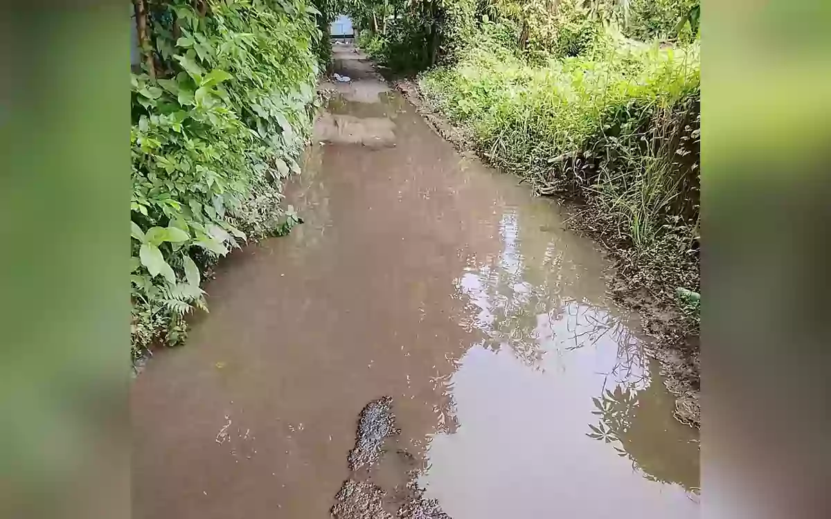 Rising Cumilla - Dire condition of the Baniyachong Mor-Dirghasair road in Nabinagar, public suffering reaches its peak.