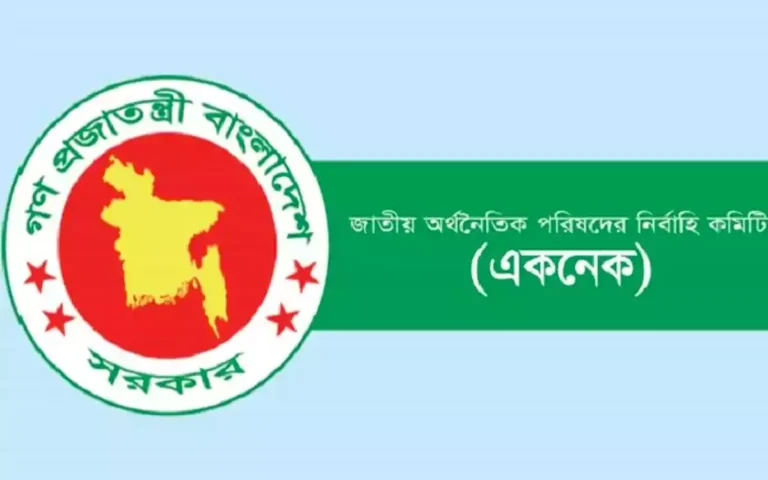 Rising Cumilla -Executive Committee of the National Economic Council
