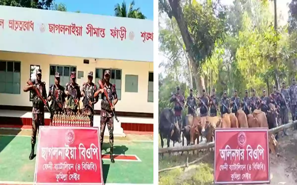 Rising Cumilla - Indian liquor and over 50 cows seized at the Feni border.