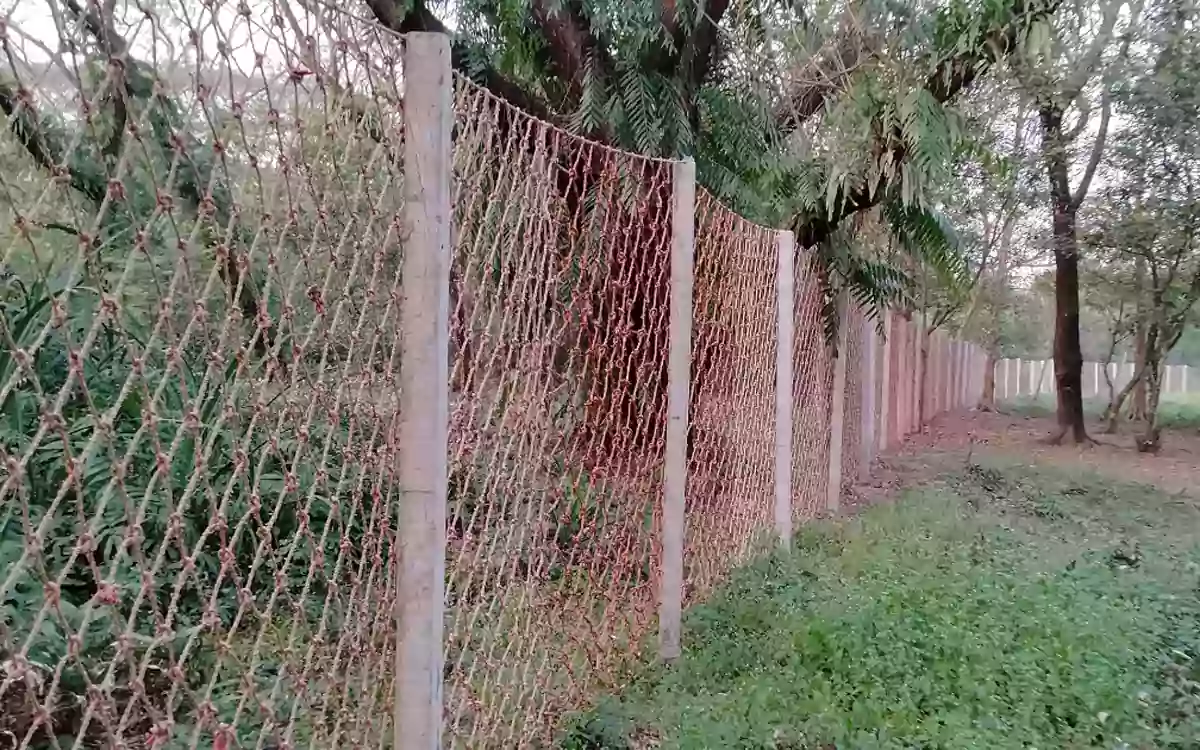 Rising Cumilla - Nylon fencing to prevent tiger-human conflict in the Sundarbans