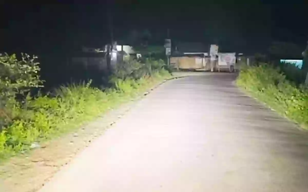Rising Cumilla - Two police officers detained by the BSF after entering Indian territory while pursuing a trafficker along the Comilla border.