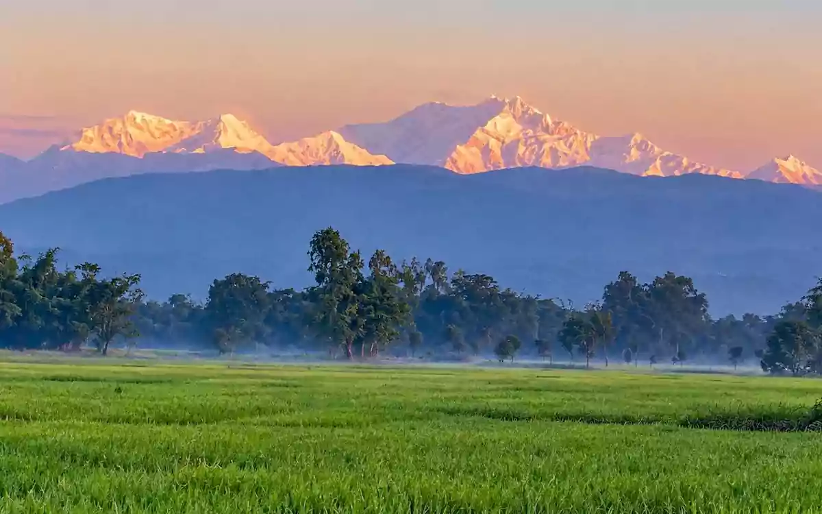 RisingCumilla - Kanchenjunga