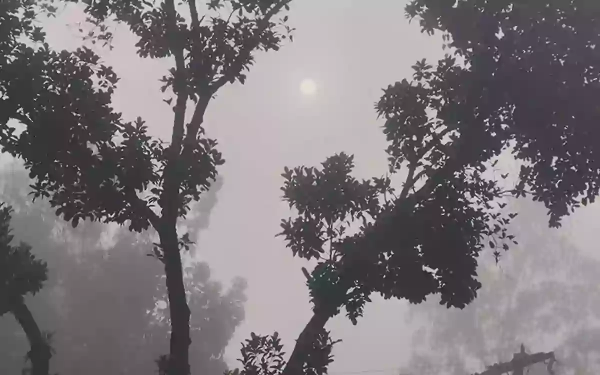 RisingCumilla - Temperature in Panchagarh drops to 17 degrees, the chill intensifies.